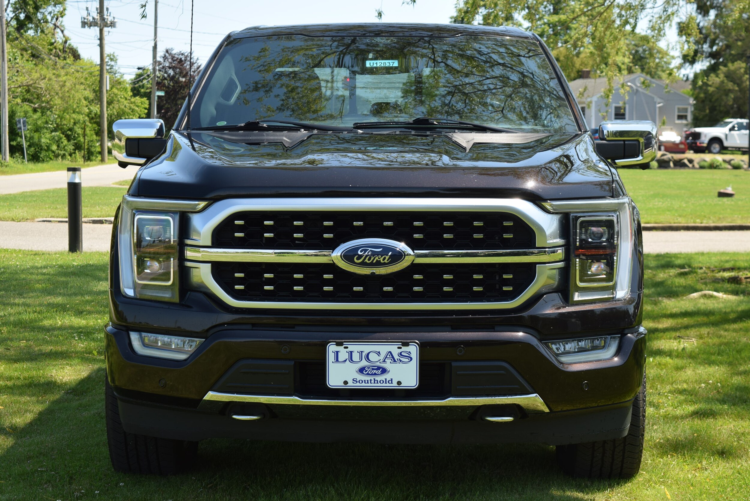2021 Ford F-150 Platinum photo 2