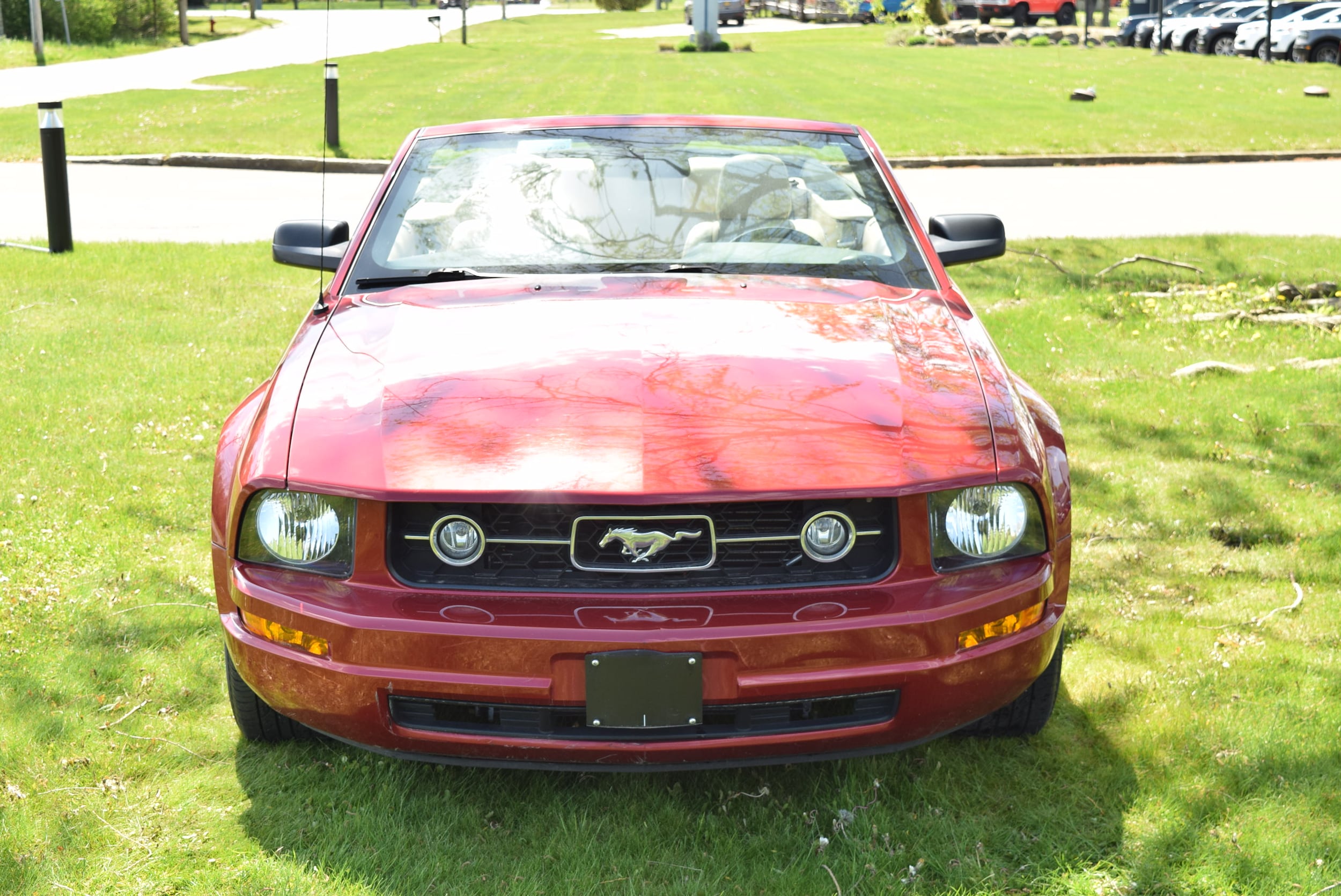 Used 2008 Ford Mustang Premium with VIN 1ZVHT84N585135923 for sale in Southold, NY