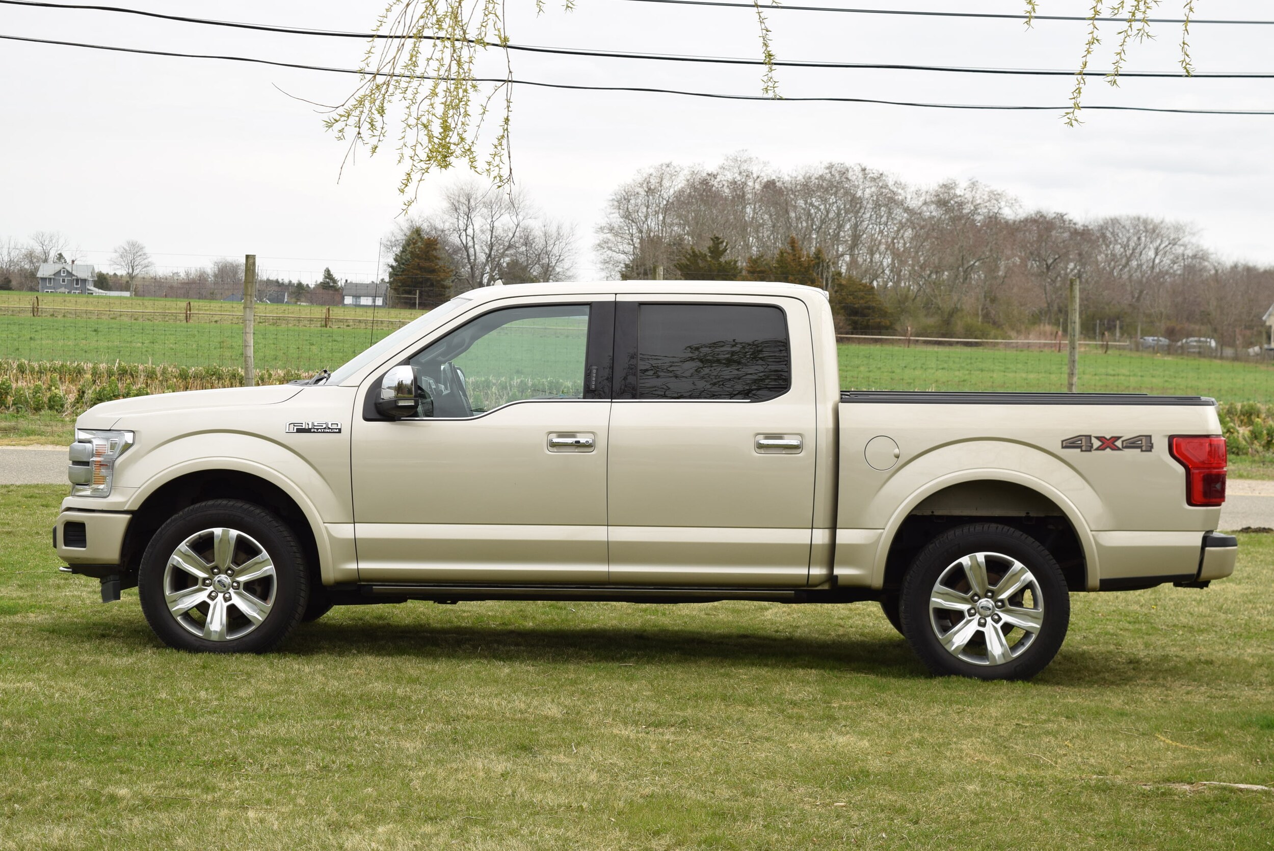 2018 Ford F-150 Platinum photo 4