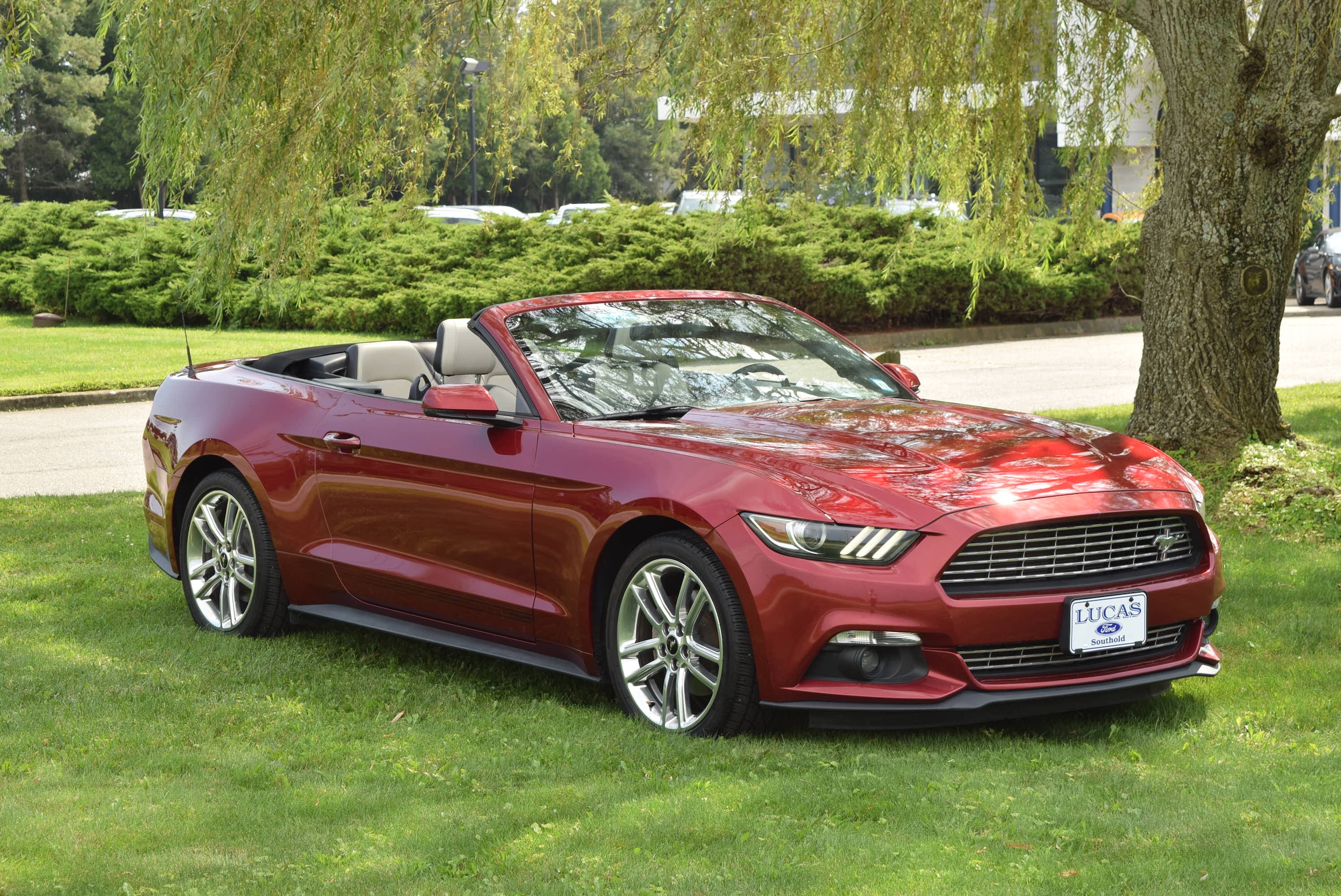 Used 2016 Ford Mustang EcoBoost Premium with VIN 1FATP8UH5G5244690 for sale in Southold, NY