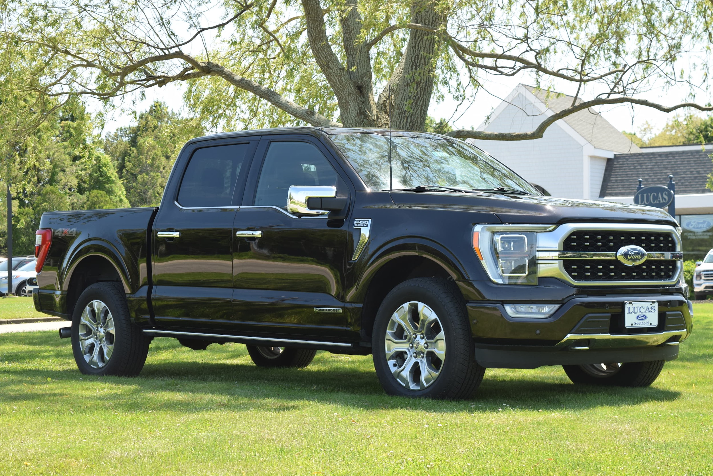 2021 Ford F-150 Platinum's photo