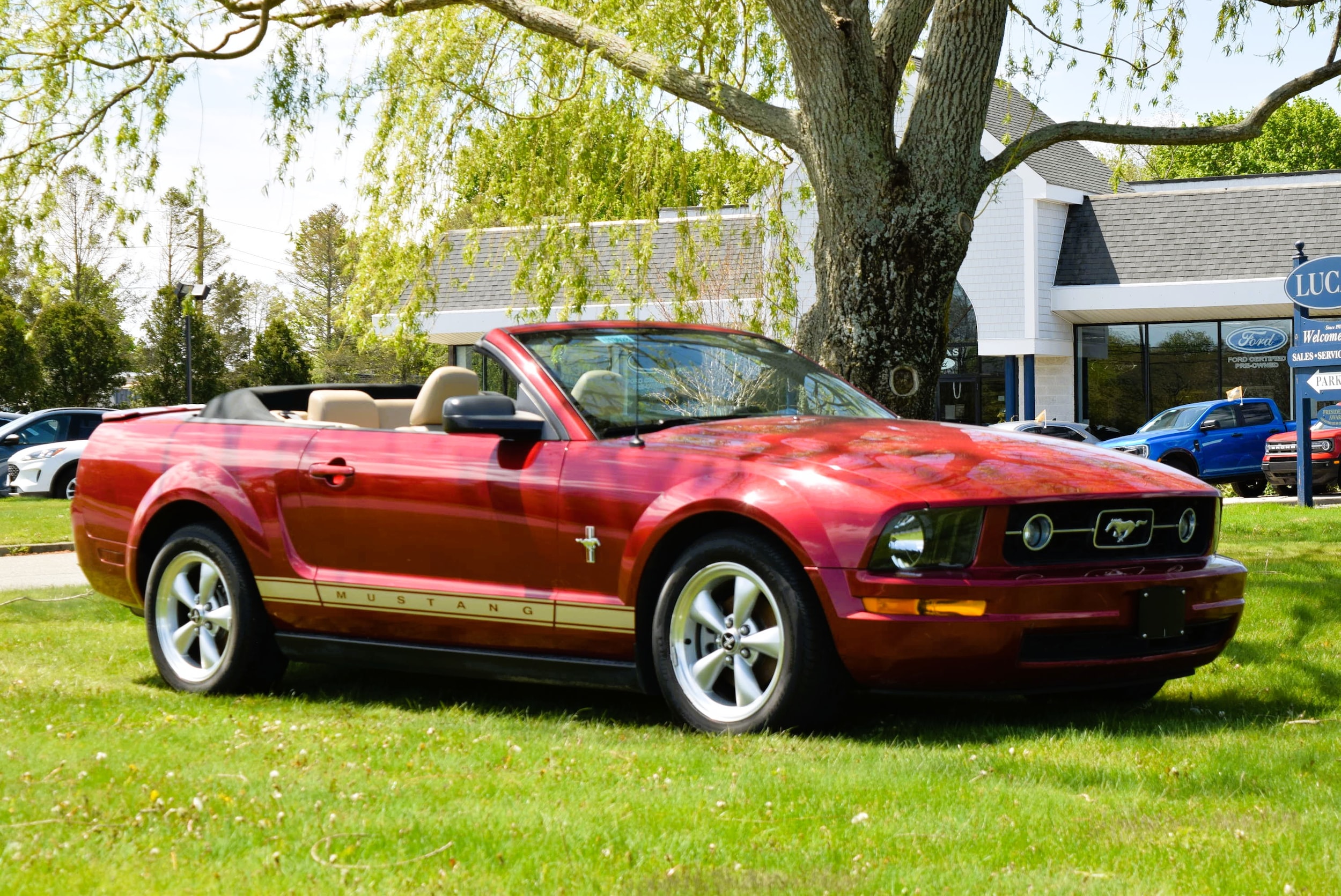 2008 Ford Mustang V6 Premium's photo