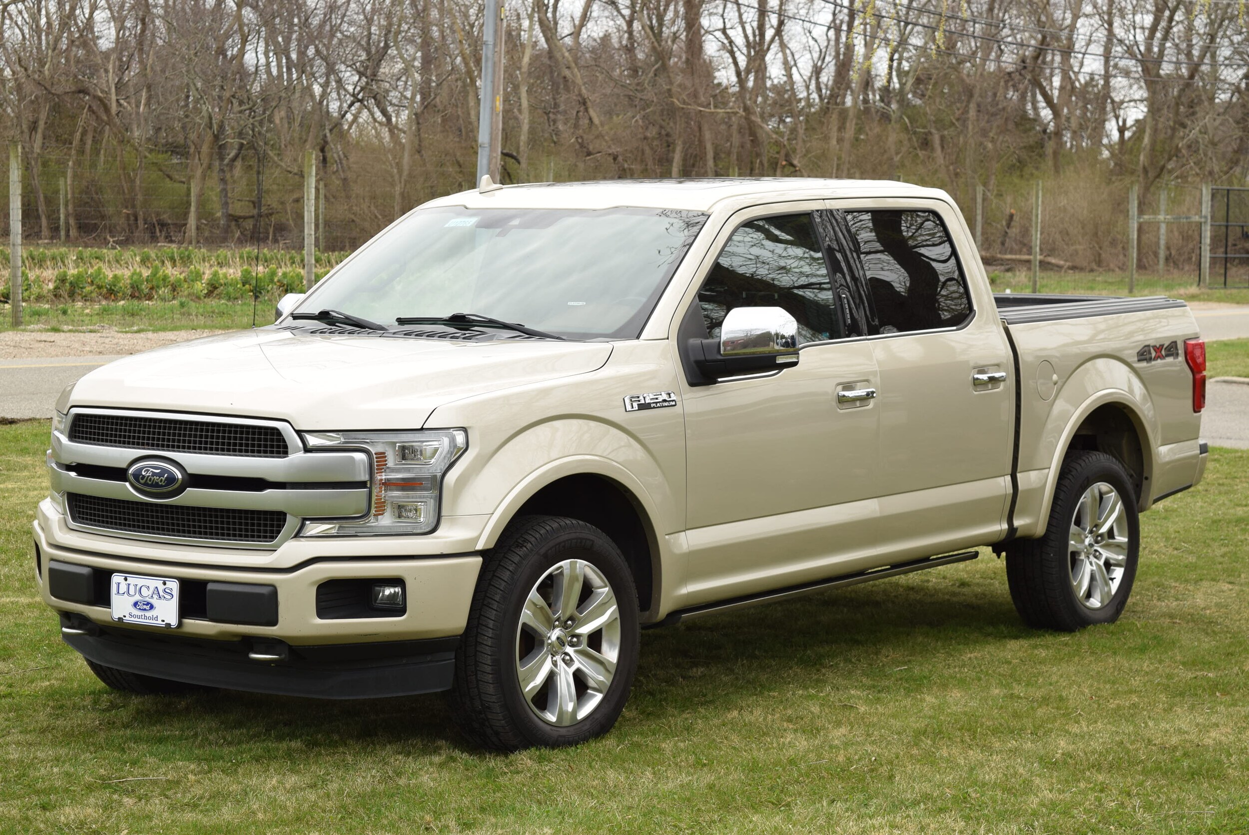 2018 Ford F-150 Platinum photo 3