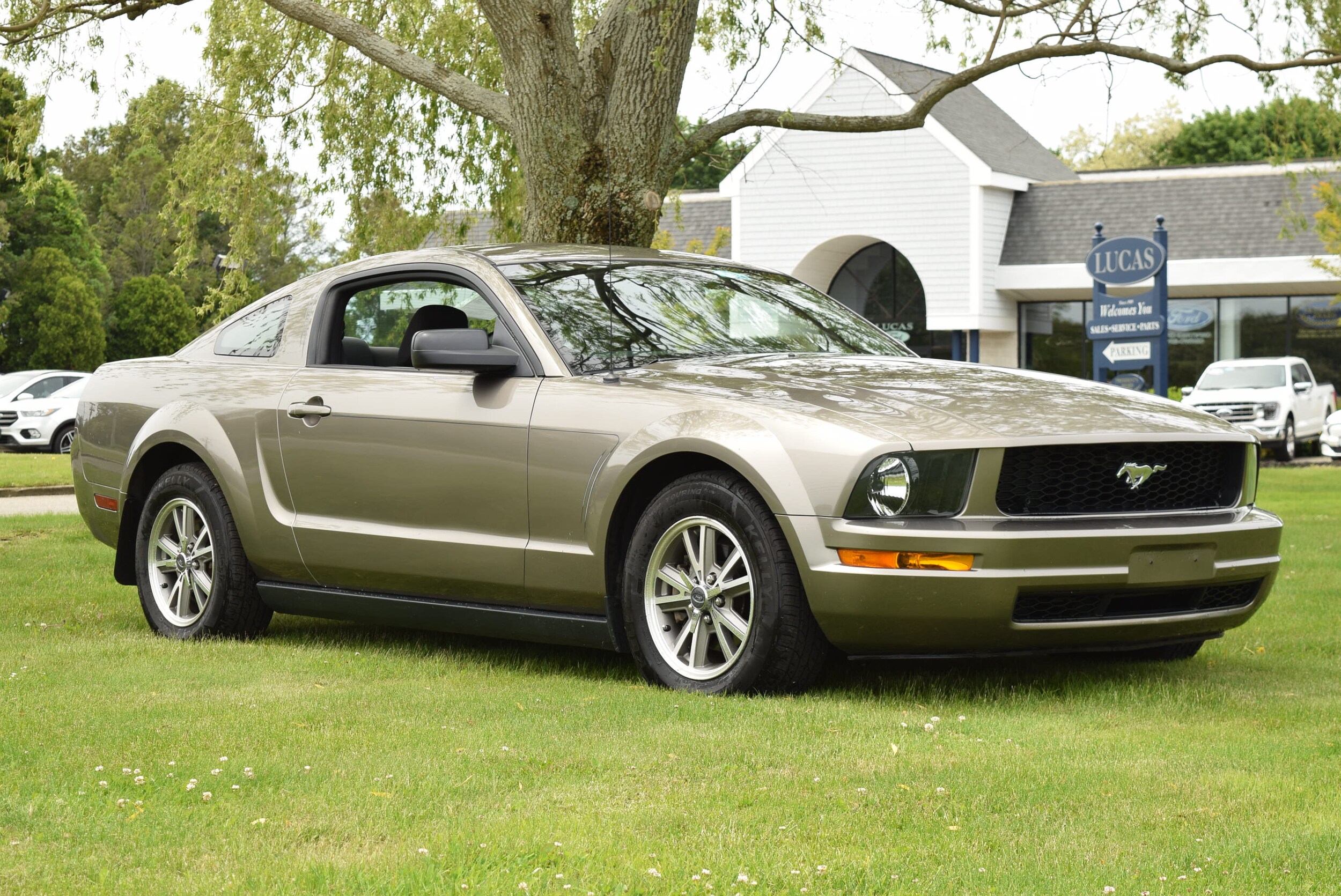 Used 2005 Ford Mustang Deluxe with VIN 1ZVFT80N555102378 for sale in Southold, NY