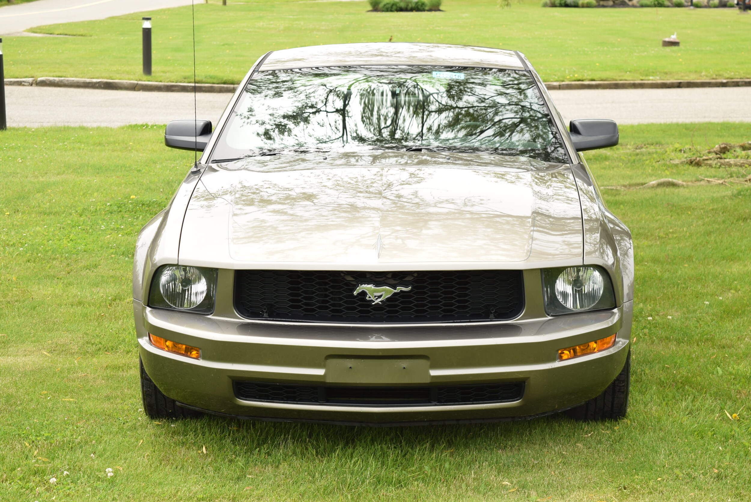 2005 Ford Mustang V6 Deluxe photo 3