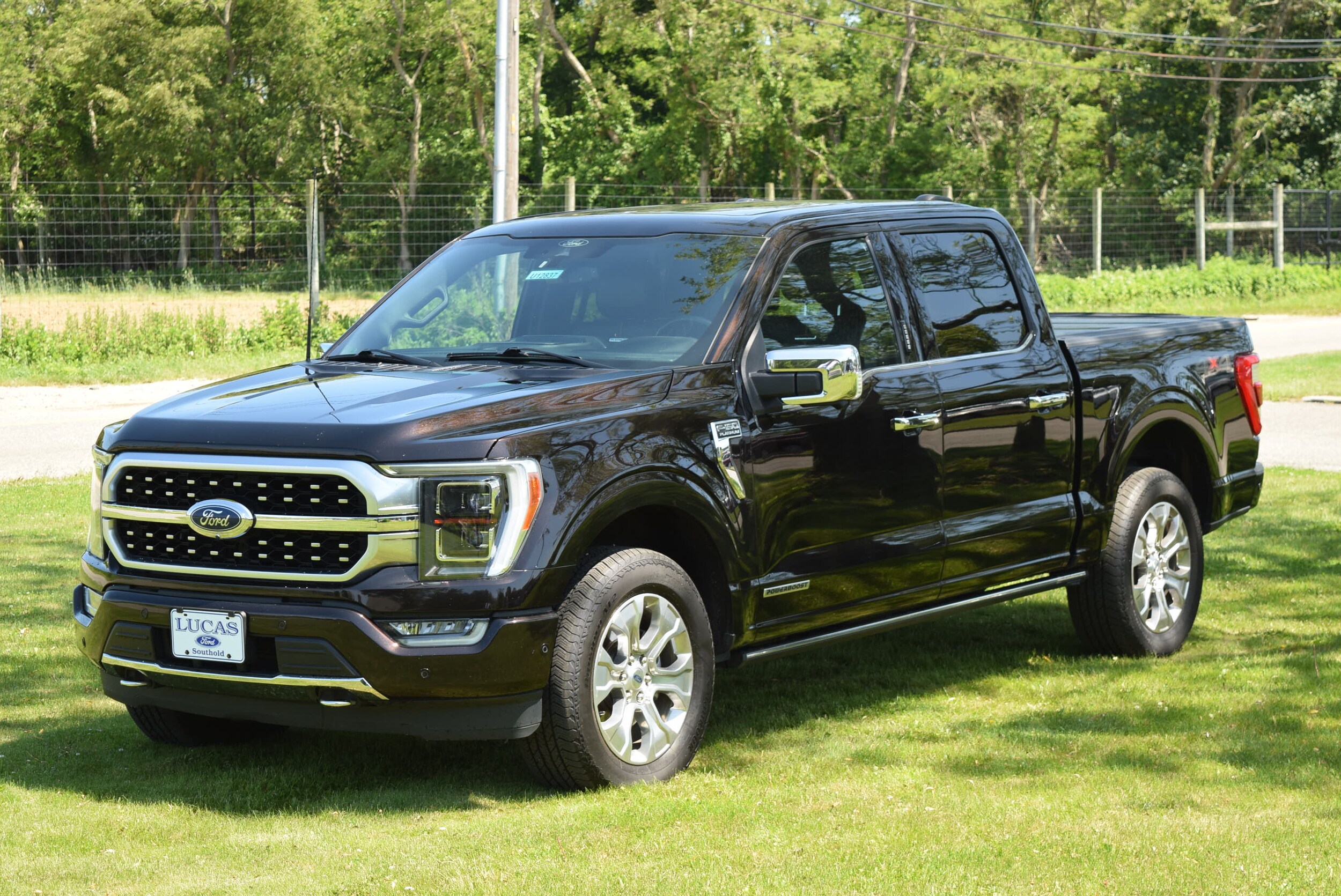 2021 Ford F-150 Platinum photo 3