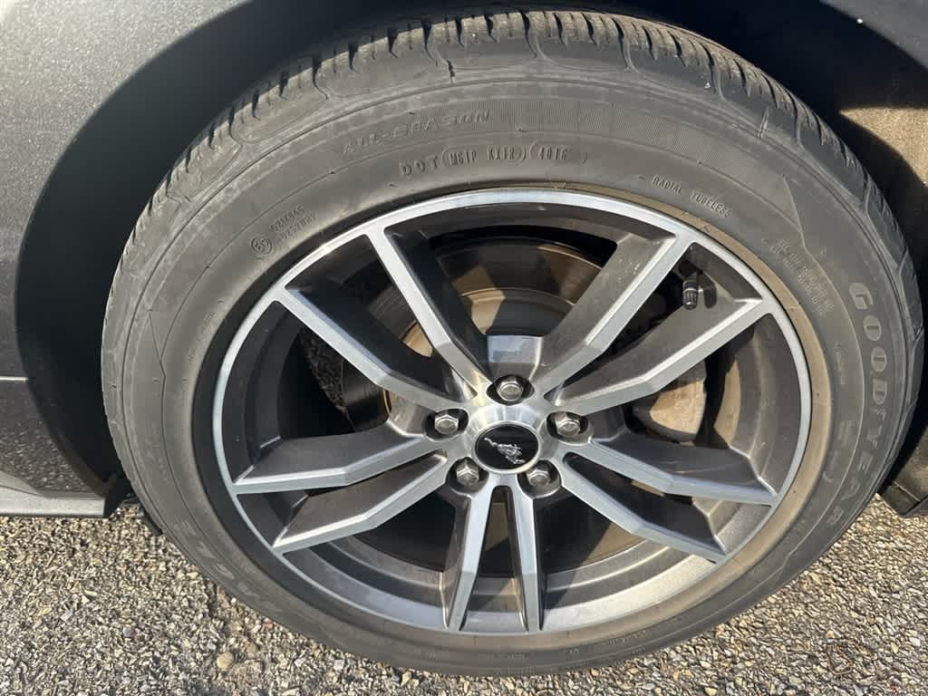 2017 Ford Mustang EcoBoost photo 4