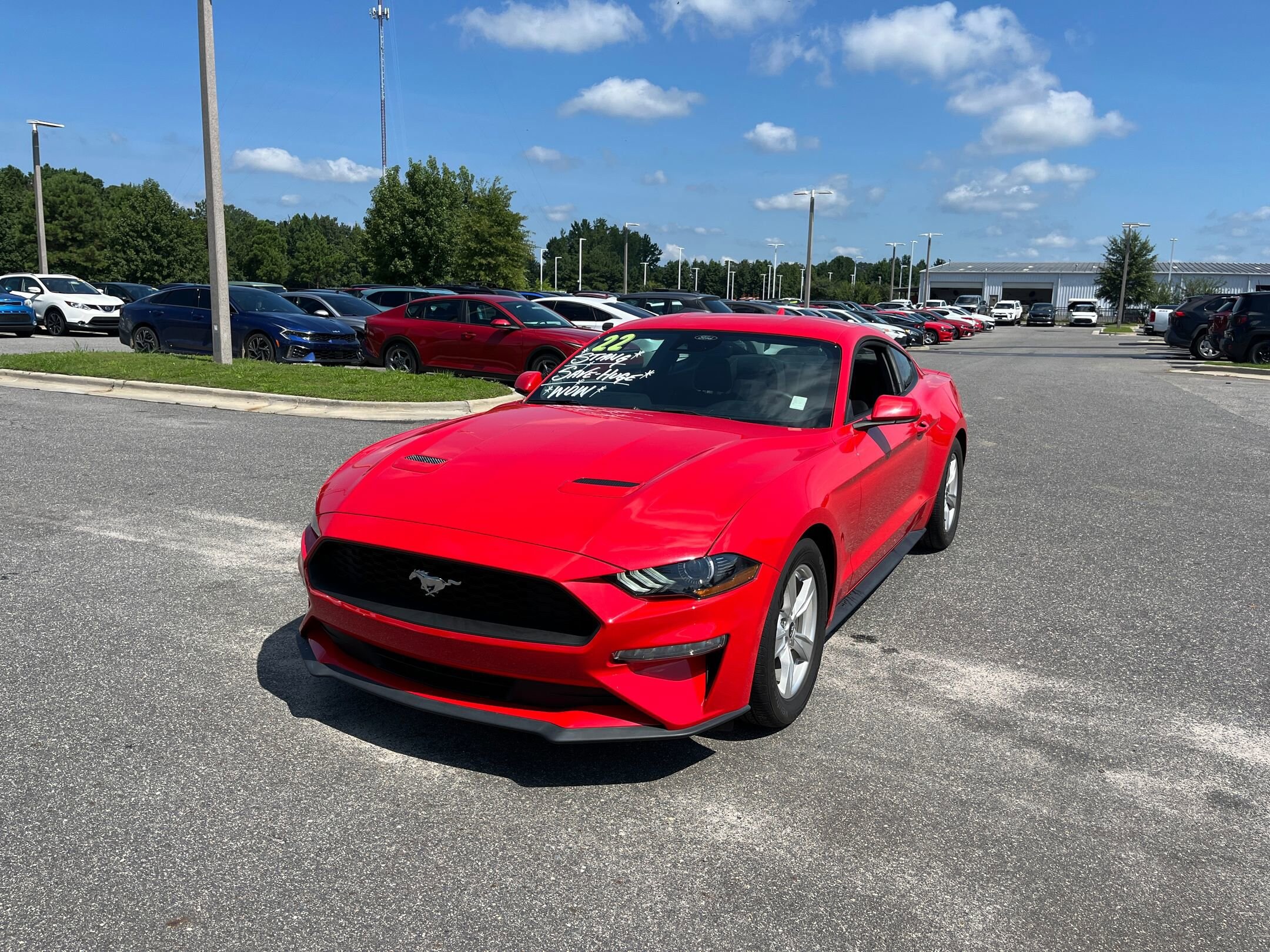 2021 Ford Mustang Mach 1 photo 3