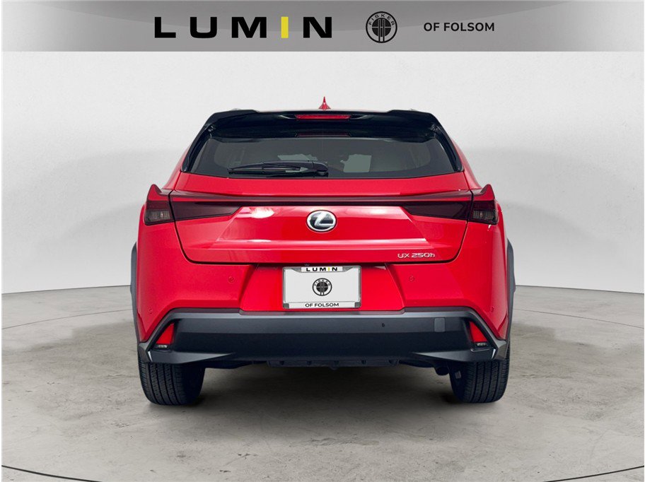 2023 Lexus UX 250h photo 4