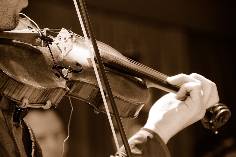 Musicians