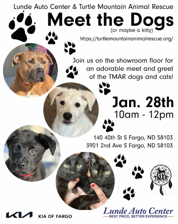 Meet The Dogs .png