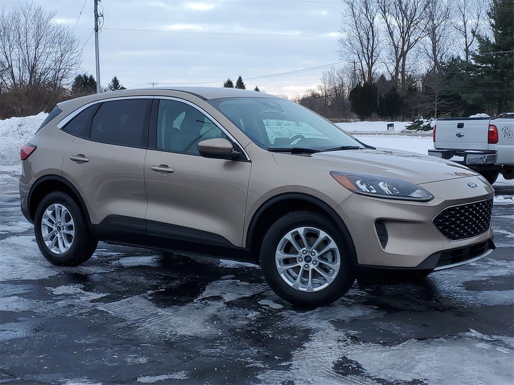 2020 Ford Escape SE's photo