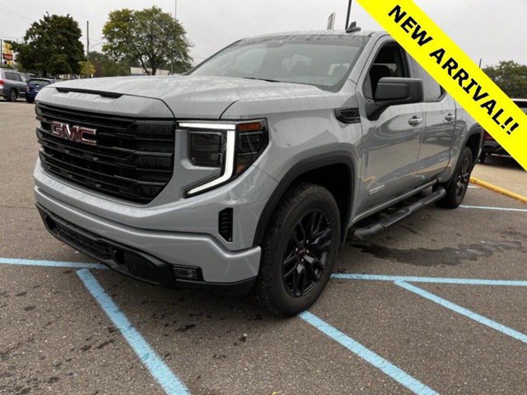 Used 2024 GMC Sierra 1500 For Sale at Lunghamer Buick GMC Inc. VIN