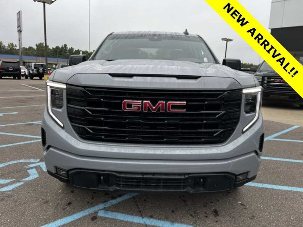 Used 2024 GMC Sierra 1500 For Sale at Lunghamer Buick GMC Inc. VIN