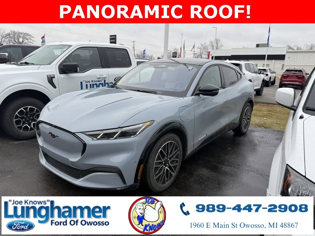 2024 Ford Mustang Mach-E Premium AWD's photo