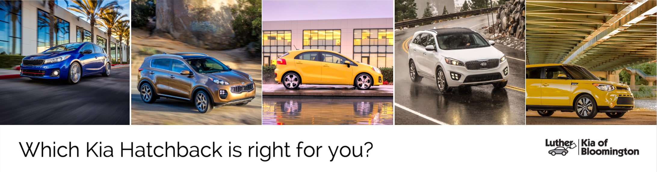 Kia dealer Bloomington MN - Which Kia Hatchback is Right For You_ - Dealership Blog.png
