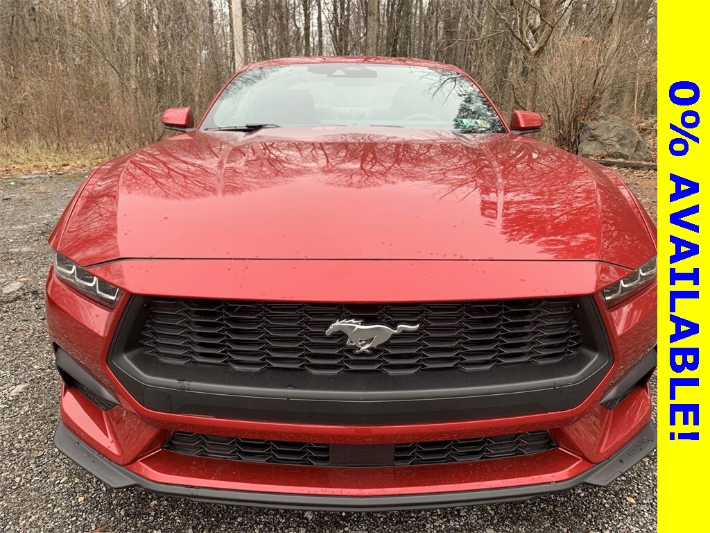 2024 Ford Mustang EcoBoost Premium photo 2