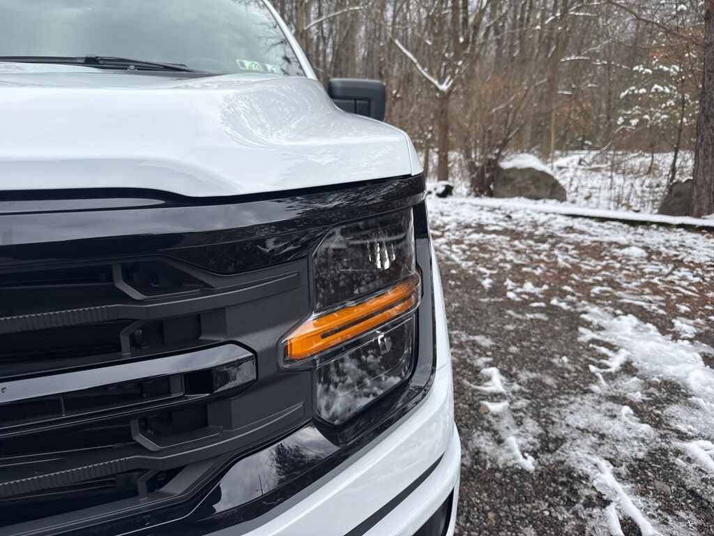 New 2025 Ford F-150 XLT Truck