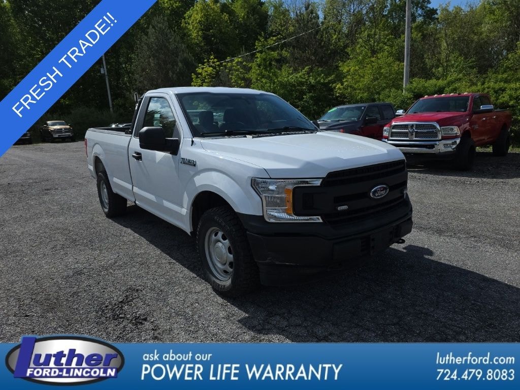Used 2019 Ford F-150 XL Truck
