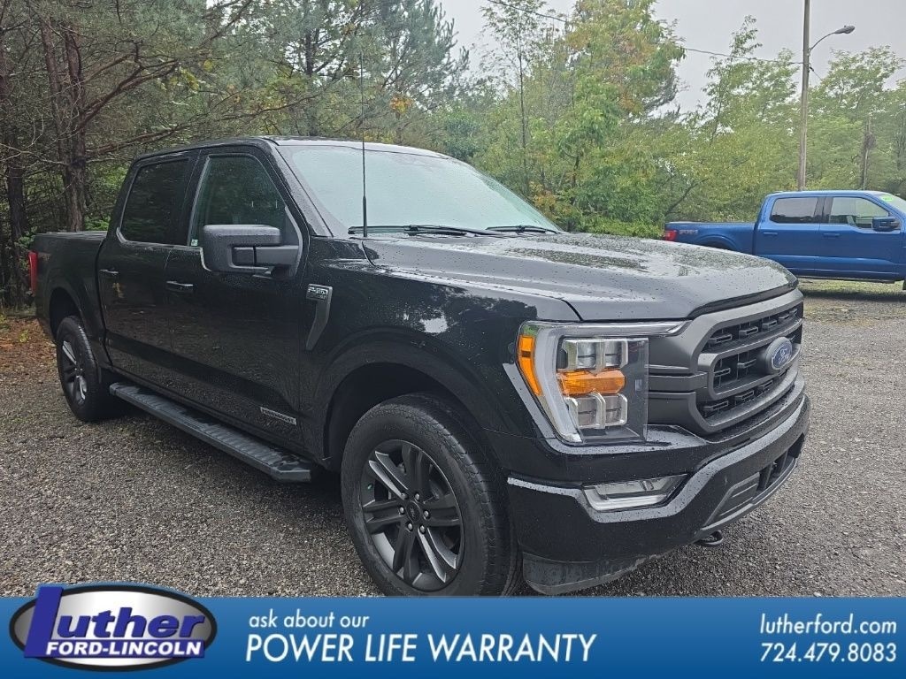 Used 2023 Ford F-150 XLT Truck