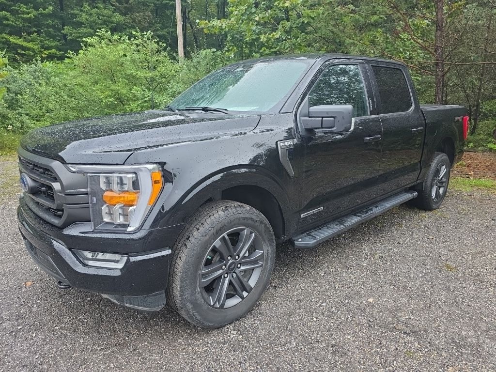 Used 2023 Ford F-150 XLT Truck