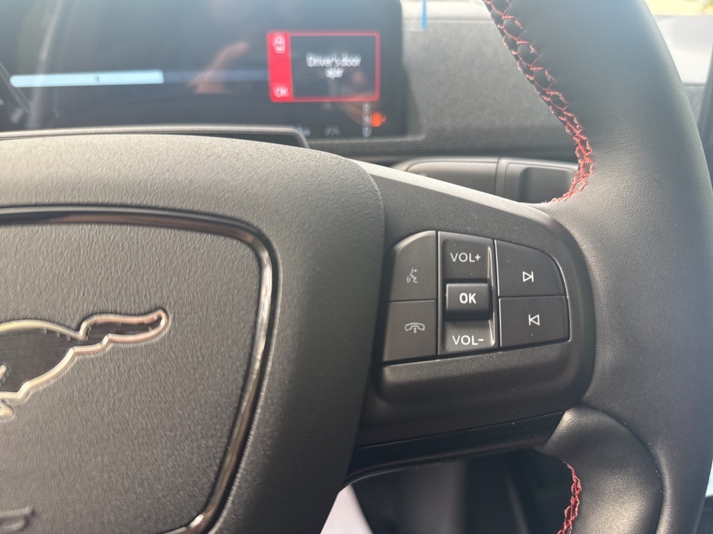 2025 Ford Mustang Mach-E Premium - Photo 19