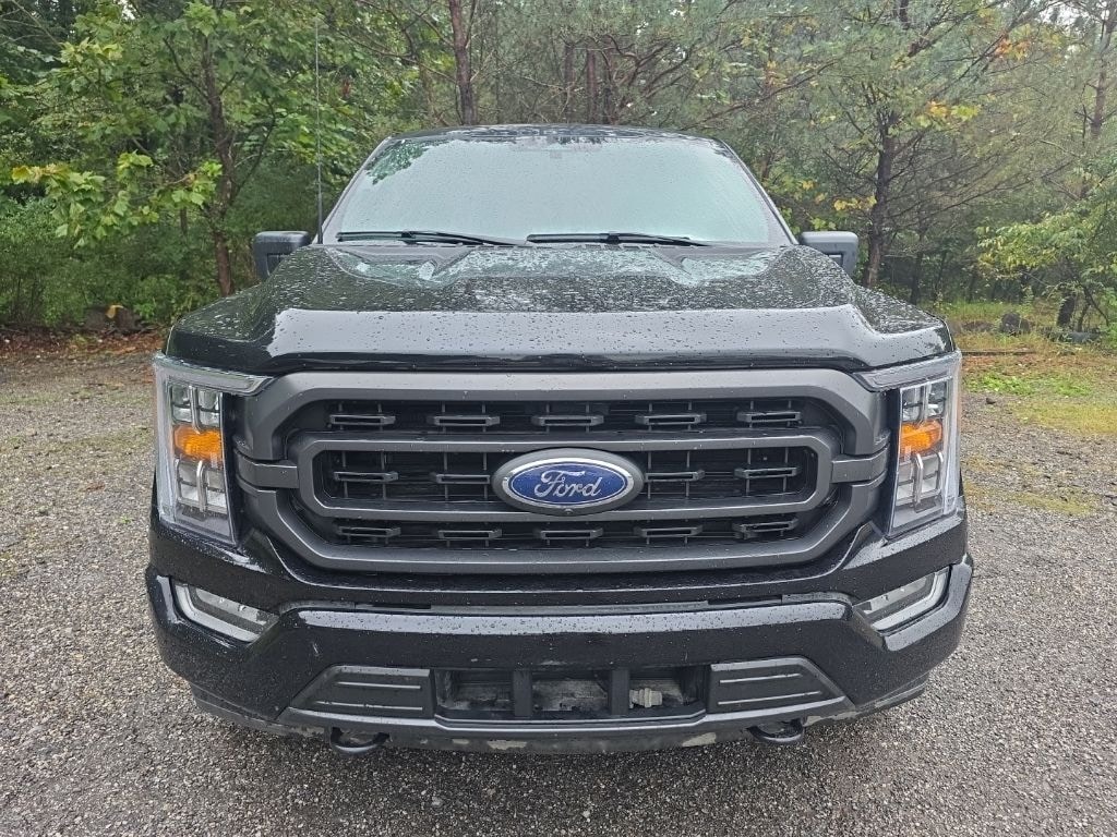 Used 2023 Ford F-150 XLT Truck