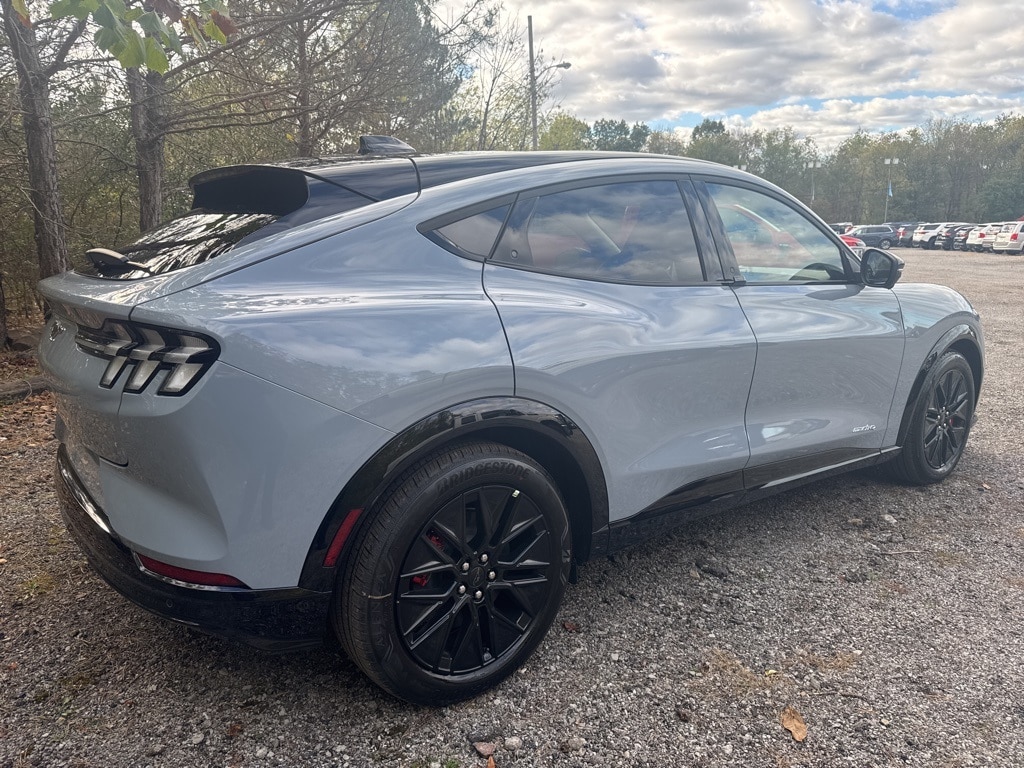 2025 Ford Mustang Mach-E Premium - Photo 11
