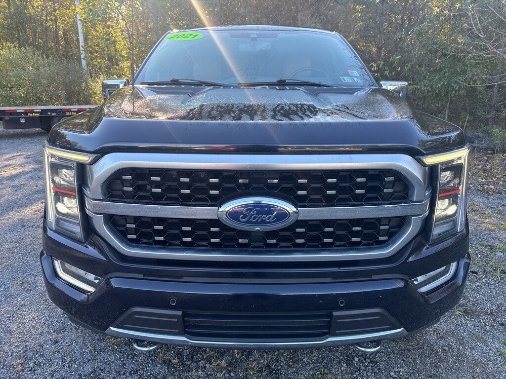 2021 Ford F-150 Platinum photo 2