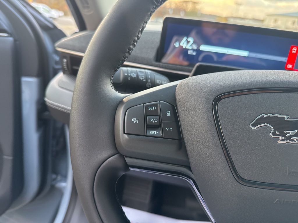 2025 Ford Mustang Mach-E Premium - Photo 19