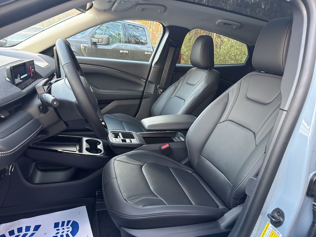 2025 Ford Mustang Mach-E Premium - Photo 15