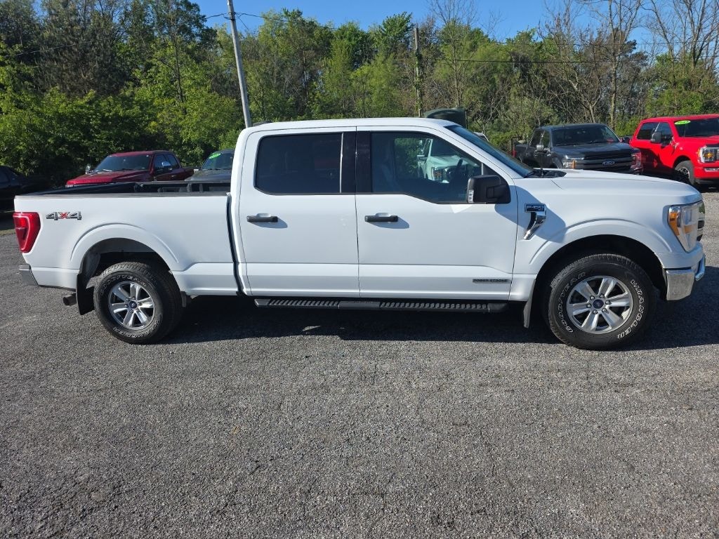 Used 2021 Ford F-150 XLT Truck