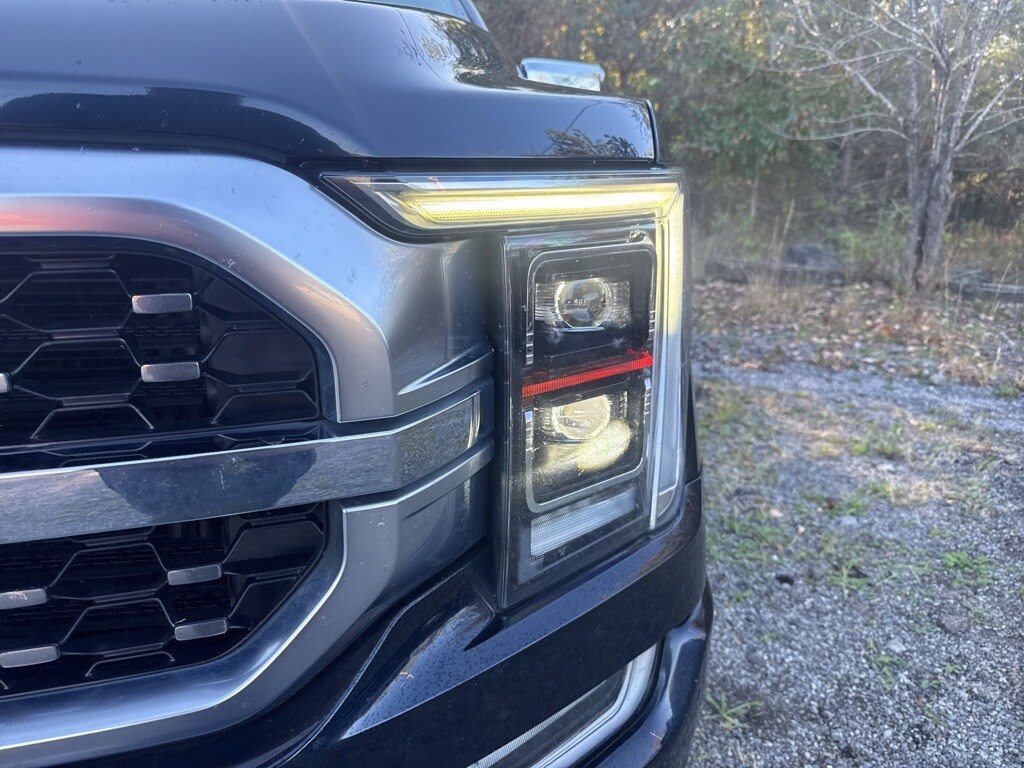 2021 Ford F-150 Platinum photo 3