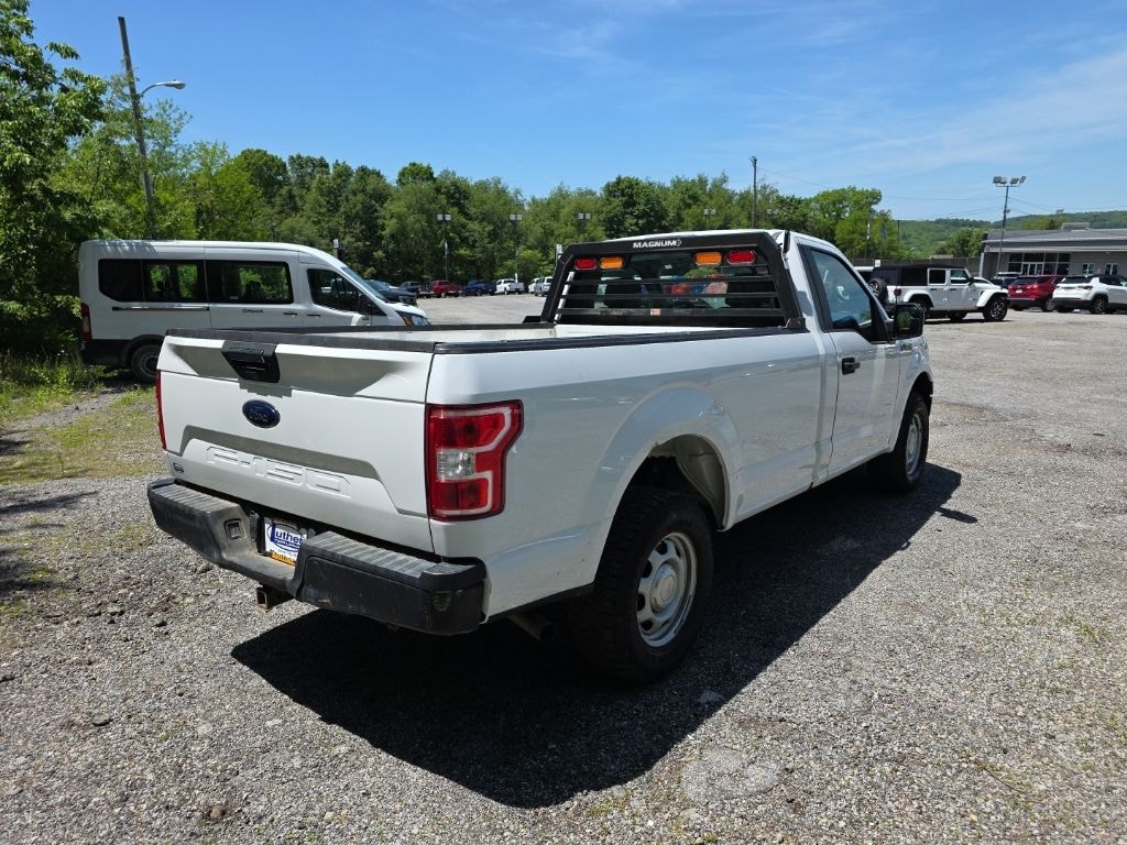 Used 2019 Ford F-150 XL Truck