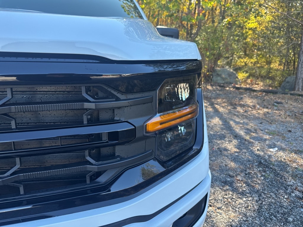 New 2025 Ford F-150 XLT Truck