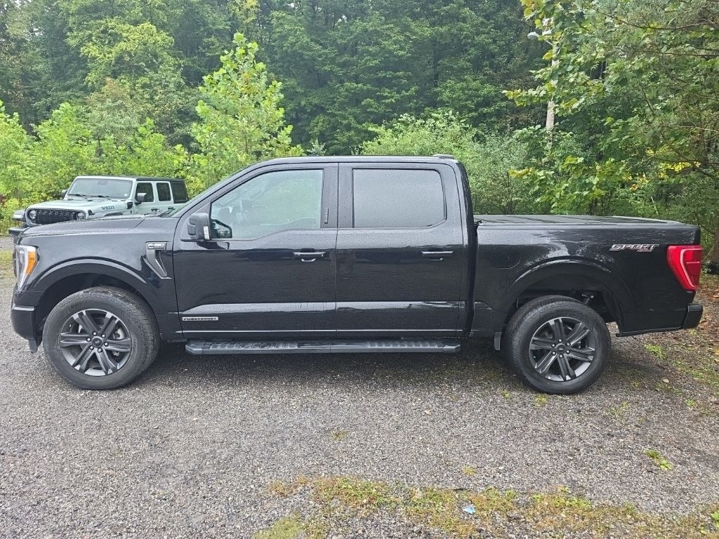 Used 2023 Ford F-150 XLT Truck