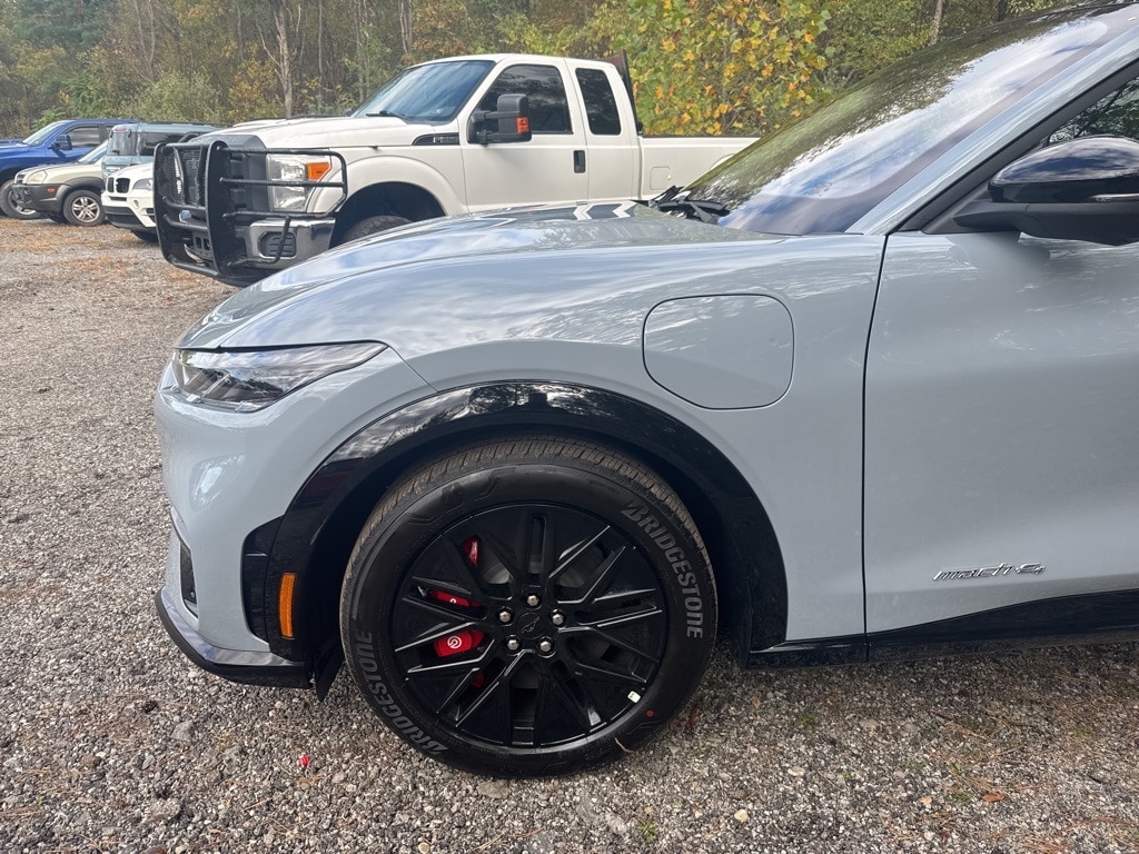2025 Ford Mustang Mach-E Premium - Photo 6