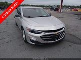 2019 Chevrolet Malibu 1FL (Fleet)'s photo