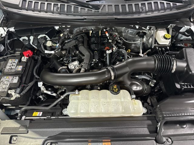 2025 Ford Expedition Active - Photo 10