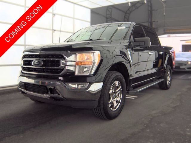 2023 Ford F-150's photo