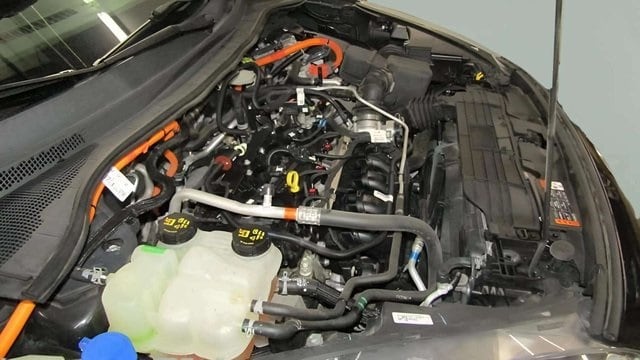 View 23