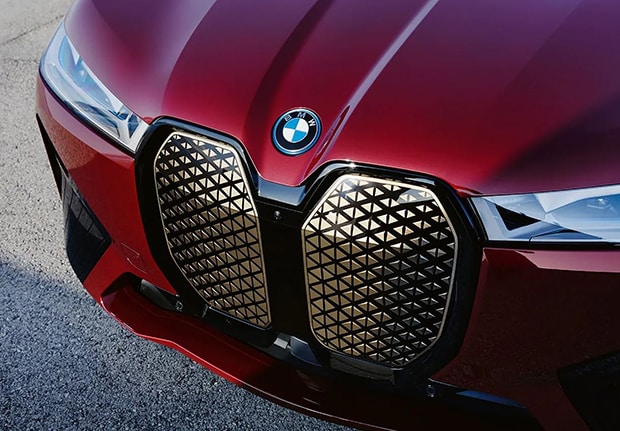 BMWiX Grille.jpg