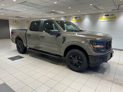 2025 Ford F-150 STX Truck