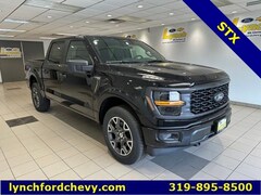 2025 Ford F-150 STX Truck