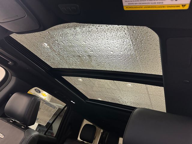 2025 Ford Expedition MAX Platinum photo 4