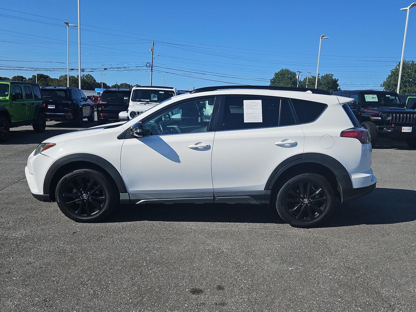 2018 Toyota RAV4 Adventure photo 3
