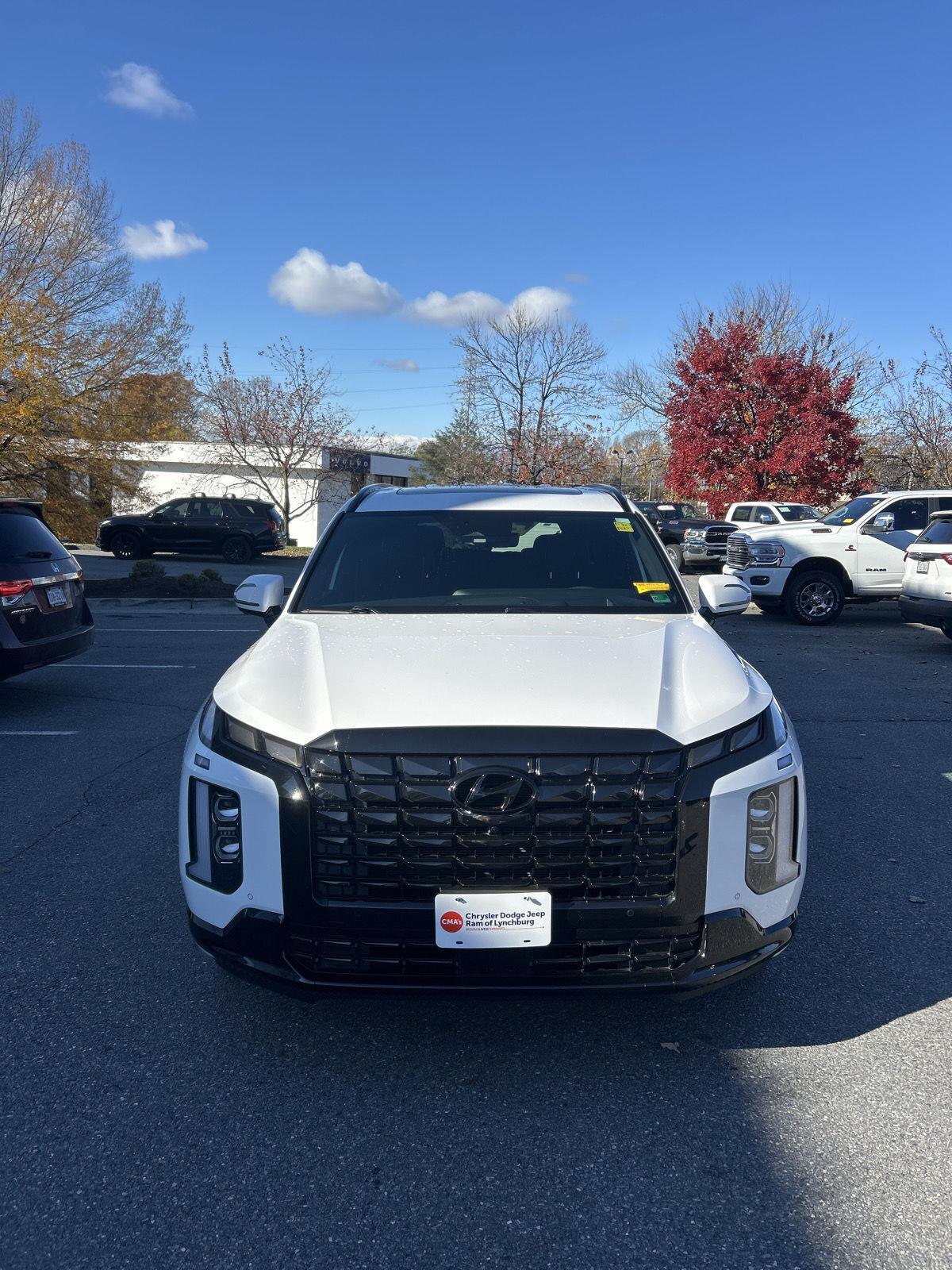 2024 Hyundai Palisade Calligraphy photo 2