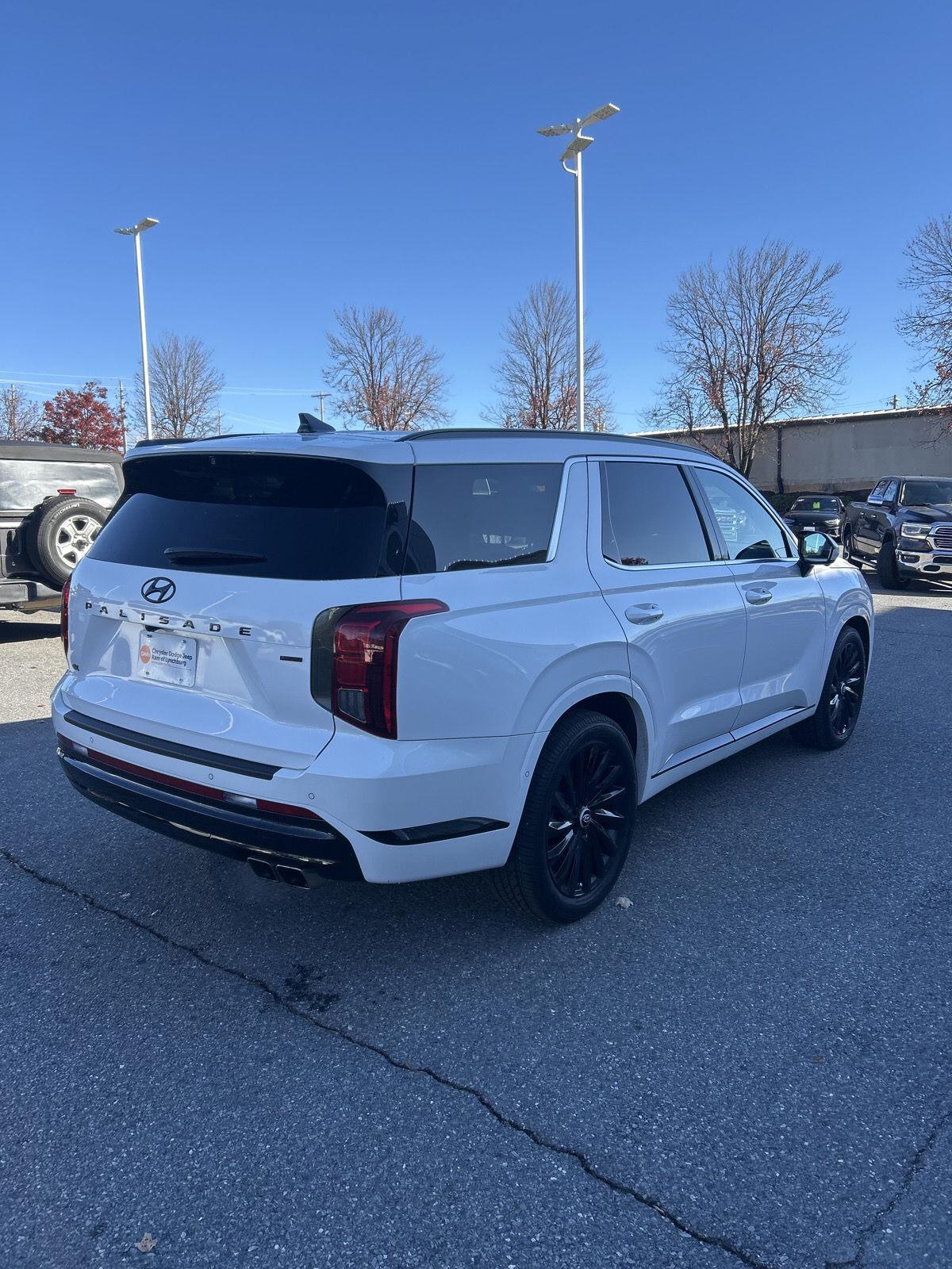 2024 Hyundai Palisade Calligraphy photo 3