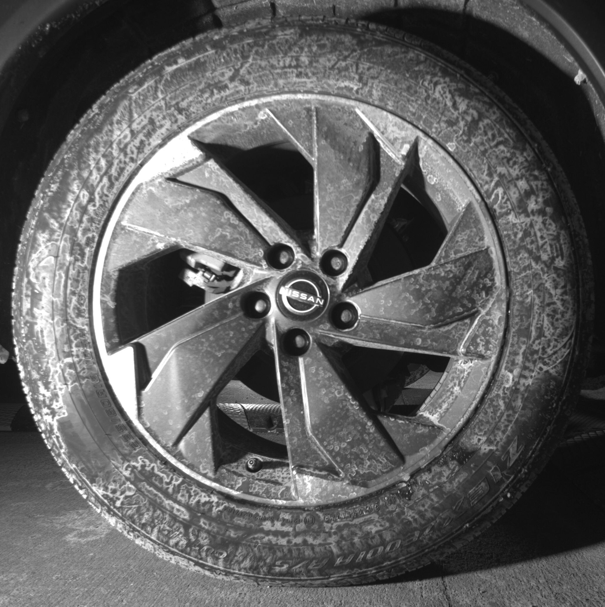 Thumbnail: 2025 Nissan Rogue - 12