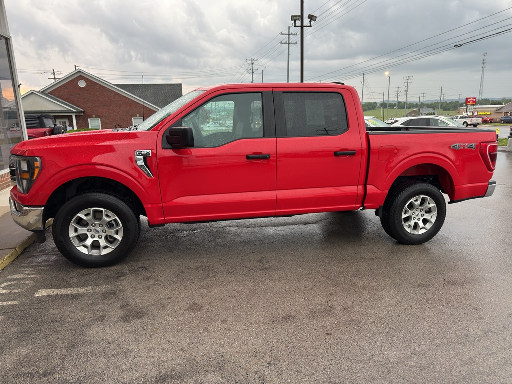 Used 2023 Ford F-150 XLT with VIN 1FTFW1E82PKE46260 for sale in Lewisburg, TN